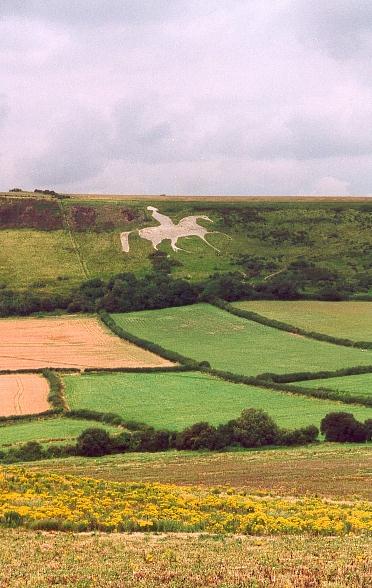 Chalk Horse 1