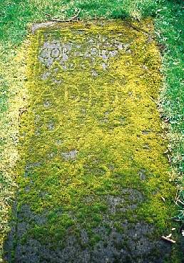 Mossy Grave