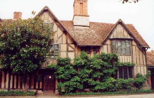Leafy House